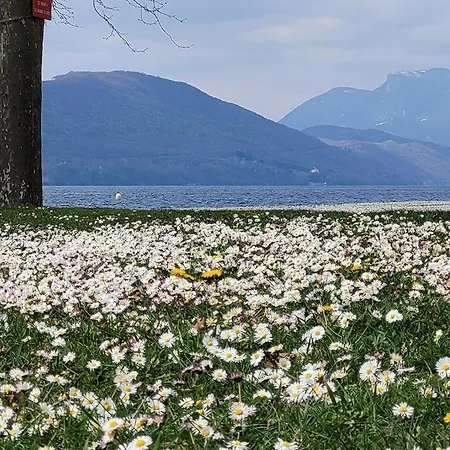 Lejlighed O Cocon Du Lac, Magnifique De Charme 30 M2, Ideal Curistes Aix-les-Bains