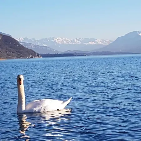 O Cocon Du Lac, Magnifique De Charme 30 M2, Ideal Curistes Aix-les-Bains
