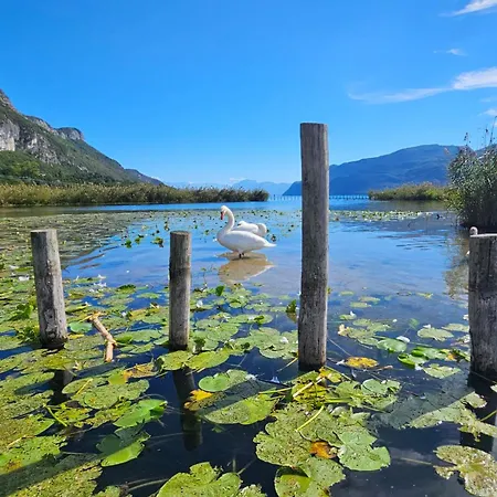 O Cocon Du Lac, Magnifique De Charme 30 M2, Ideal Curistes Apartment *